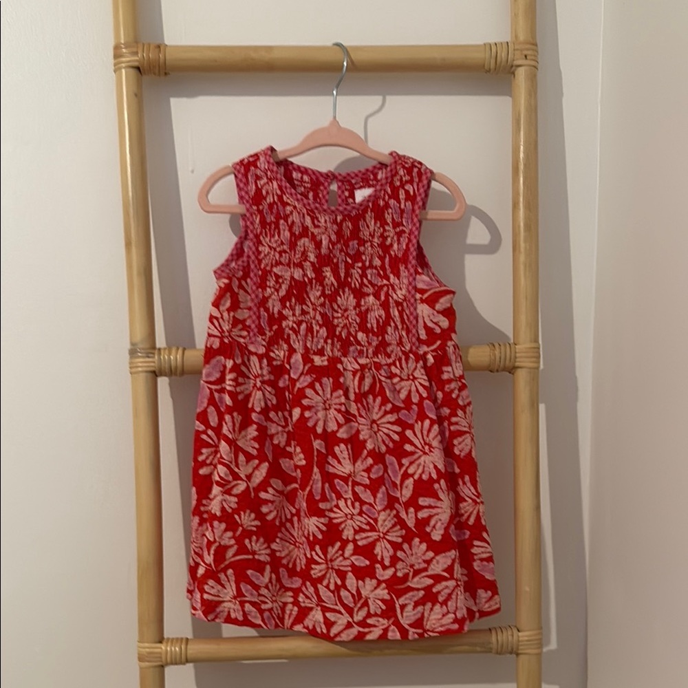 Zara Red and Pink Patterned Dress